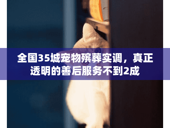 全国35城宠物殡葬实调,真正透明的善后服务不到2成 全国35城宠物殡葬实调,真正透明的善后服务不到2成