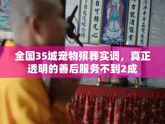 全国35城宠物殡葬实调,真正透明的善后服务不到2成 全国35城宠物殡葬实调,真正透明的善后服务不到2成