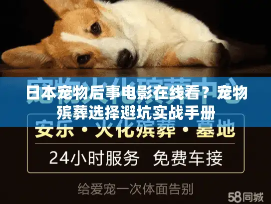 日本宠物后事电影在线看？宠物殡葬选择避坑实战手册