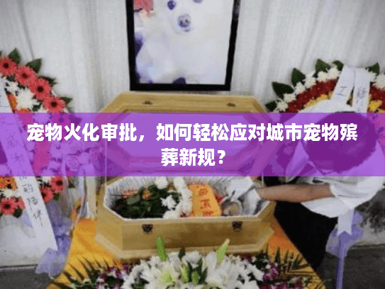 宠物火化审批,如何轻松应对城市宠物殡葬新规? 宠物火化审批,如何轻松应对城市宠物殡葬新规?