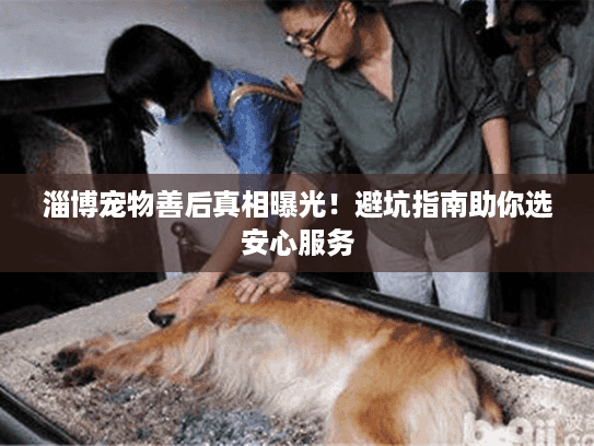 淄博宠物善后真相曝光！避坑指南助你选安心服务