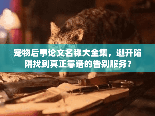 宠物后事论文名称大全集，避开陷阱找到真正靠谱的告别服务？