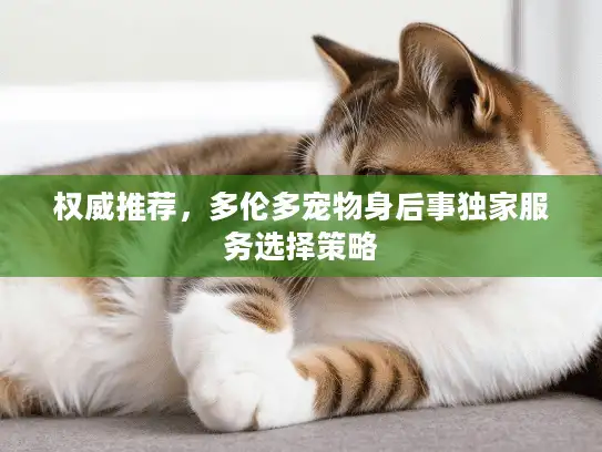 权威推荐，多伦多宠物身后事独家服务选择策略