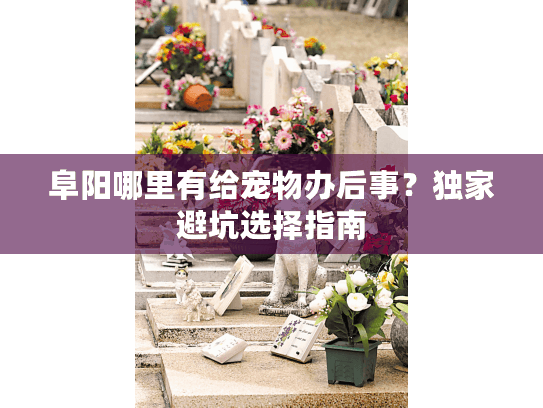 阜阳哪里有给宠物办后事？独家避坑选择指南