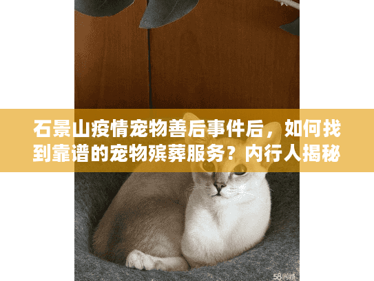 石景山疫情宠物善后事件后，如何找到靠谱的宠物殡葬服务？内行人揭秘3个关键标准