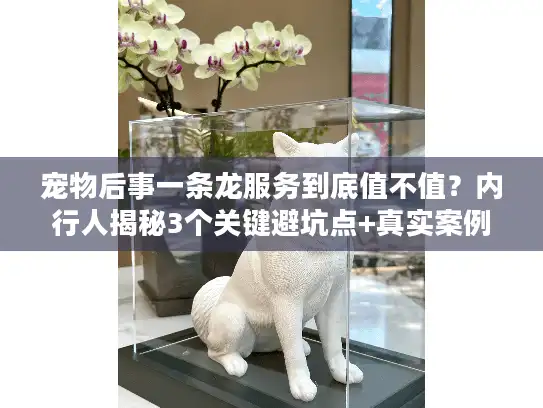 宠物后事一条龙服务到底值不值？内行人揭秘3个关键避坑点+真实案例