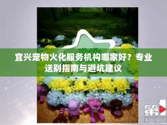宜兴宠物火化服务机构哪家好？专业送别指南与避坑建议