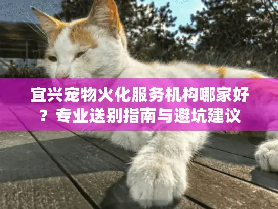宜兴宠物火化服务机构哪家好？专业送别指南与避坑建议