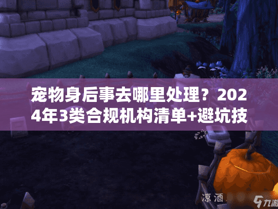宠物身后事去哪里处理?2024年3类合规机构清单+避坑技巧全公开 宠物身后事去哪里处理?2024年3类合规机构清单+避坑技巧全公开