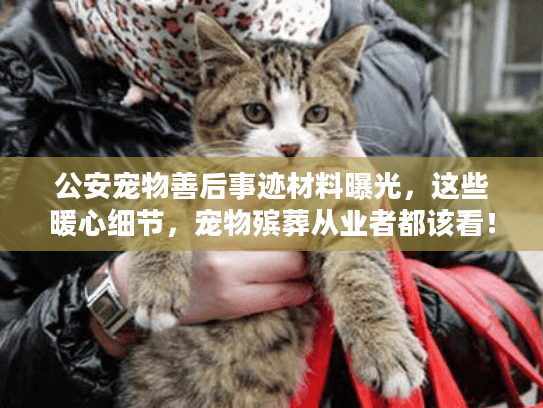 公安宠物善后事迹材料曝光，这些暖心细节，宠物殡葬从业者都该看！