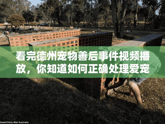看完德州宠物善后事件视频播放，你知道如何正确处理爱宠身后事吗？