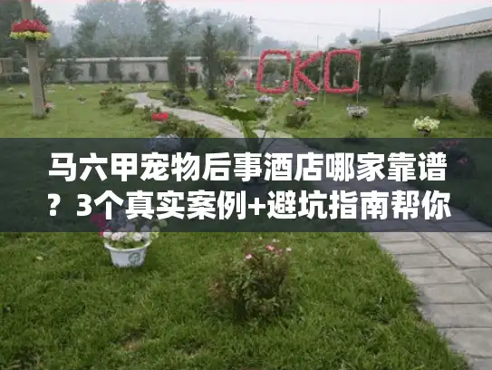 马六甲宠物后事酒店哪家靠谱？3个真实案例+避坑指南帮你选对服务