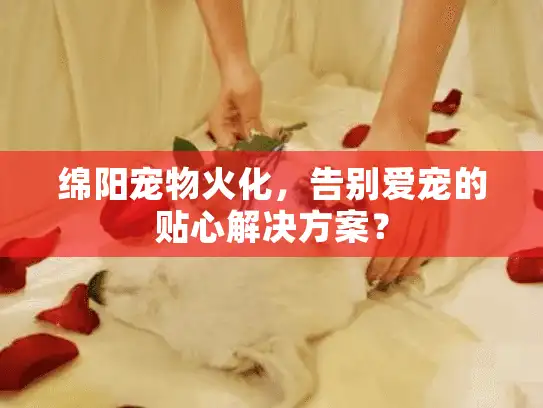 绵阳宠物火化，告别爱宠的贴心解决方案？
