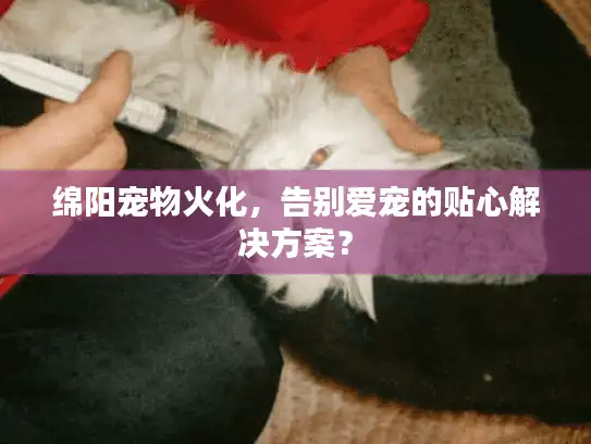 绵阳宠物火化，告别爱宠的贴心解决方案？