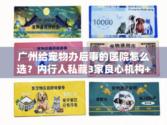 广州给宠物办后事的医院怎么选？内行人私藏3家良心机构+避坑技巧