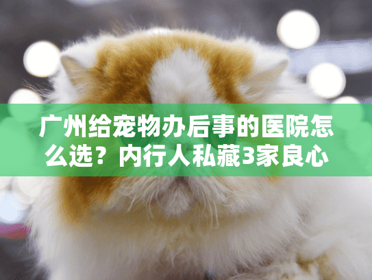 广州给宠物办后事的医院怎么选？内行人私藏3家良心机构+避坑技巧