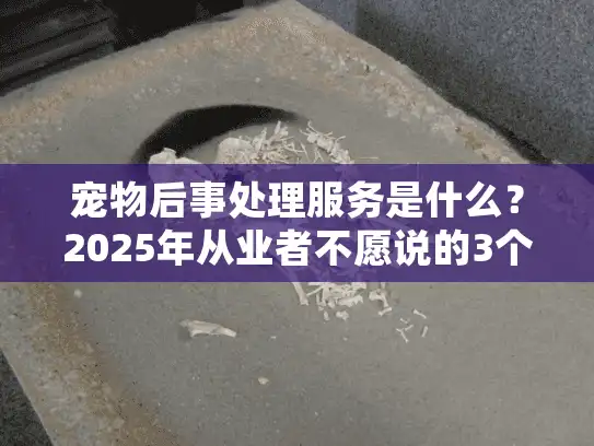 宠物后事处理服务是什么？2025年从业者不愿说的3个真相+真实案例