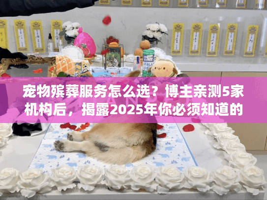 宠物殡葬服务怎么选?博主亲测5家机构后,揭露2025年你必须知道的3个避坑真相! 宠物殡葬服务怎么选?博主亲测5家机构后,揭露2025年你必须知道的3个避坑真相!