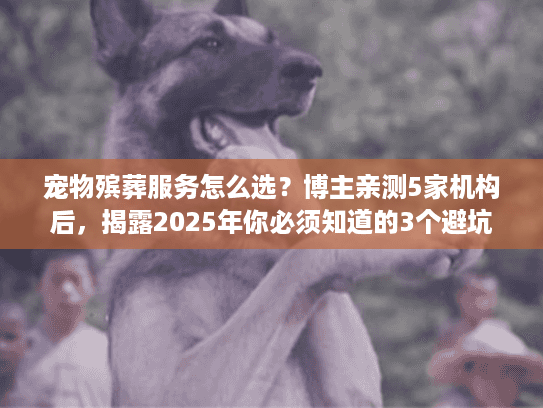 宠物殡葬服务怎么选?博主亲测5家机构后,揭露2025年你必须知道的3个避坑真相! 宠物殡葬服务怎么选?博主亲测5家机构后,揭露2025年你必须知道的3个避坑真相!