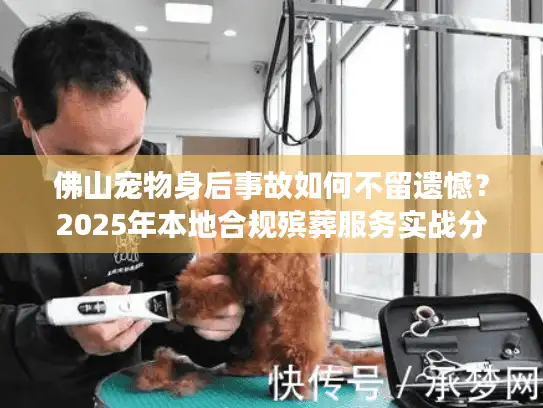 佛山宠物身后事故如何不留遗憾？2025年本地合规殡葬服务实战分享