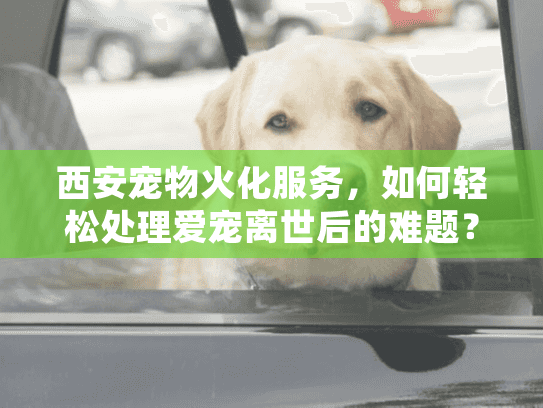西安宠物火化服务,如何轻松处理爱宠离世后的难题? 西安宠物火化服务,如何轻松处理爱宠离世后的难题?