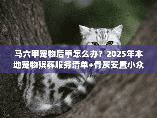 马六甲宠物后事怎么办？2025年本地宠物殡葬服务清单+骨灰安置小众方案