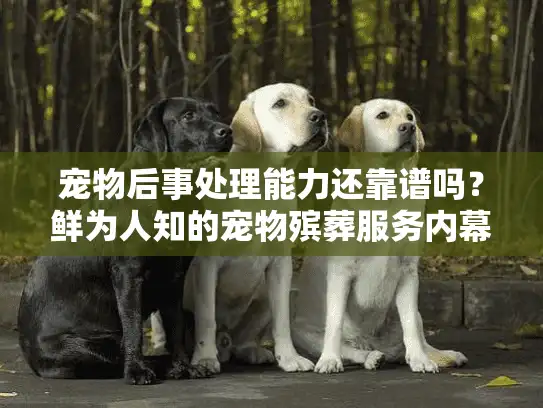 宠物后事处理能力还靠谱吗？鲜为人知的宠物殡葬服务内幕与避坑技巧