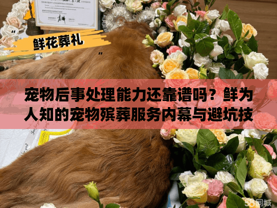 宠物后事处理能力还靠谱吗？鲜为人知的宠物殡葬服务内幕与避坑技巧