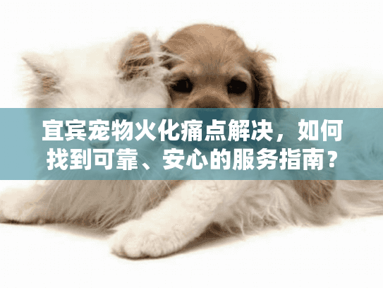 宜宾宠物火化痛点解决，如何找到可靠、安心的服务指南？
