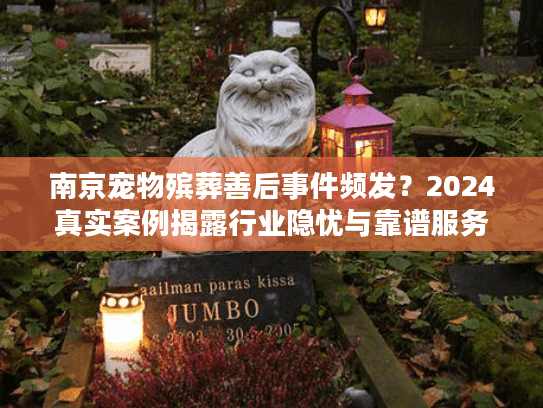 南京宠物殡葬善后事件频发？2024真实案例揭露行业隐忧与靠谱服务怎么选
