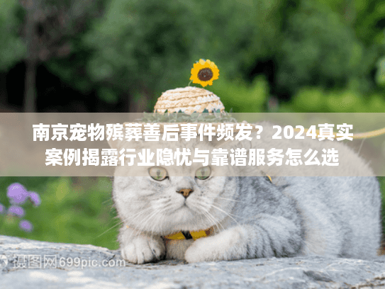 南京宠物殡葬善后事件频发？2024真实案例揭露行业隐忧与靠谱服务怎么选