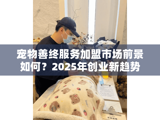 宠物善终服务加盟市场前景如何？2025年创业新趋势解析