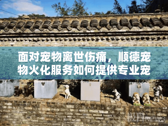 面对宠物离世伤痛,顺德宠物火化服务如何提供专业宠物殡葬支持? 面对宠物离世伤痛,顺德宠物火化服务如何提供专业宠物殡葬支持?