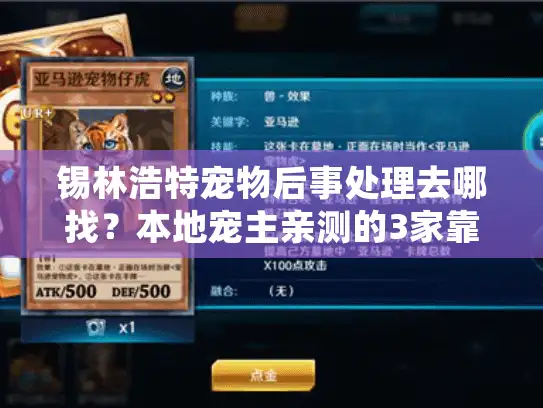 锡林浩特宠物后事处理去哪找？本地宠主亲测的3家靠谱服务+避坑技巧！