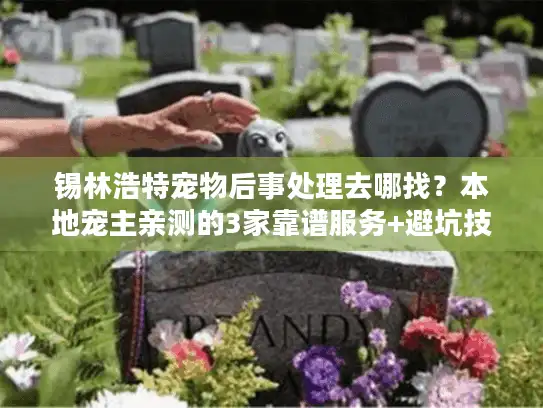 锡林浩特宠物后事处理去哪找？本地宠主亲测的3家靠谱服务+避坑技巧！