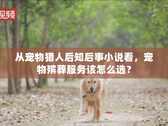 从宠物猎人后知后事小说看，宠物殡葬服务该怎么选？