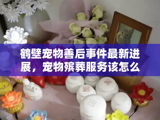 鹤壁宠物善后事件最新进展，宠物殡葬服务该怎么选？这些坑你一定要避开！