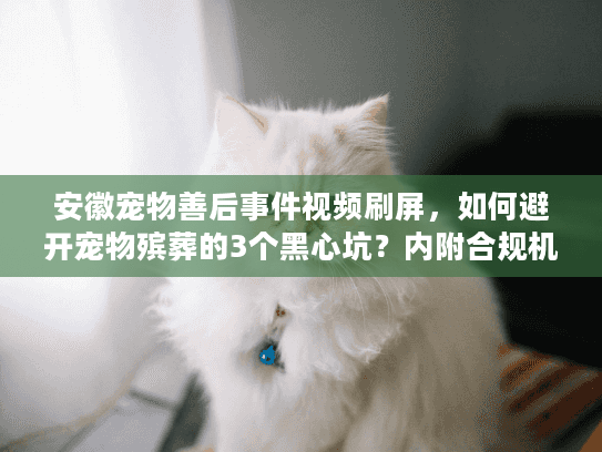 安徽宠物善后事件视频刷屏，如何避开宠物殡葬的3个黑心坑？内附合规机构清单）