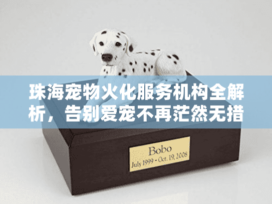 珠海宠物火化服务机构全解析，告别爱宠不再茫然无措
