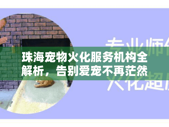 珠海宠物火化服务机构全解析，告别爱宠不再茫然无措