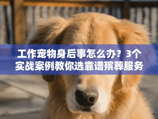 工作宠物身后事怎么办?3个实战案例教你选靠谱殡葬服务 工作宠物身后事怎么办?3个实战案例教你选靠谱殡葬服务