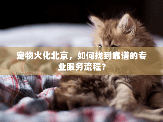 宠物火化北京,如何找到靠谱的专业服务流程? 宠物火化北京,如何找到靠谱的专业服务流程?