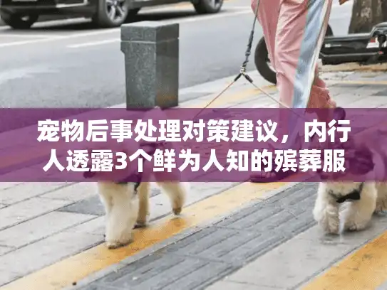 宠物后事处理对策建议，内行人透露3个鲜为人知的殡葬服务避坑要点，你做对了吗？