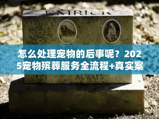 怎么处理宠物的后事呢?2025宠物殡葬服务全流程+真实案例避坑(细节) 怎么处理宠物的后事呢?2025宠物殡葬服务全流程+真实案例避坑(细节)