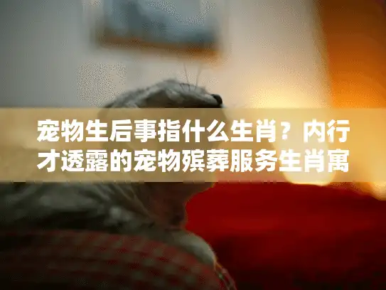 宠物生后事指什么生肖？内行才透露的宠物殡葬服务生肖寓意与实操细节