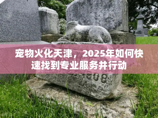 宠物火化天津，2025年如何快速找到专业服务并行动