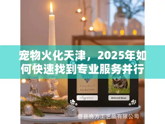 宠物火化天津，2025年如何快速找到专业服务并行动