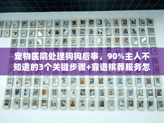 宠物医院处理狗狗后事,90%主人不知道的3个关键步骤+靠谱殡葬服务怎么选? 宠物医院处理狗狗后事,90%主人不知道的3个关键步骤+靠谱殡葬服务怎么选?