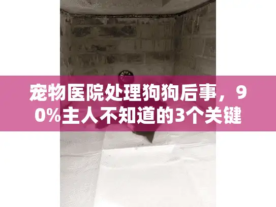 宠物医院处理狗狗后事,90%主人不知道的3个关键步骤+靠谱殡葬服务怎么选? 宠物医院处理狗狗后事,90%主人不知道的3个关键步骤+靠谱殡葬服务怎么选?