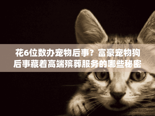 花6位数办宠物后事？富豪宠物狗后事藏着高端殡葬服务的哪些秘密